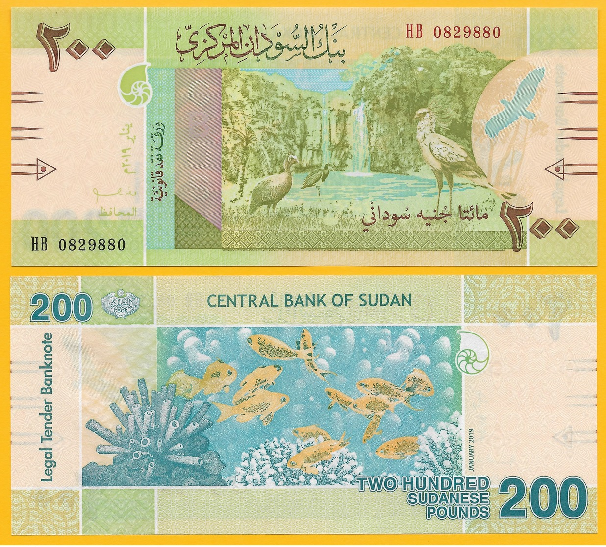 Sudan 200 Pounds P-new 2019 UNC Banknote - Sudan