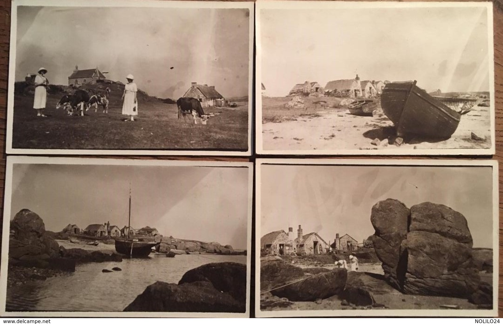 4 CPA Photos, îles Chausey, Manche (50)  2 Animées, Dames, Vaches (prise Par Amie Des 2 Dames?), Blainvillais 1930/1940 - Granville