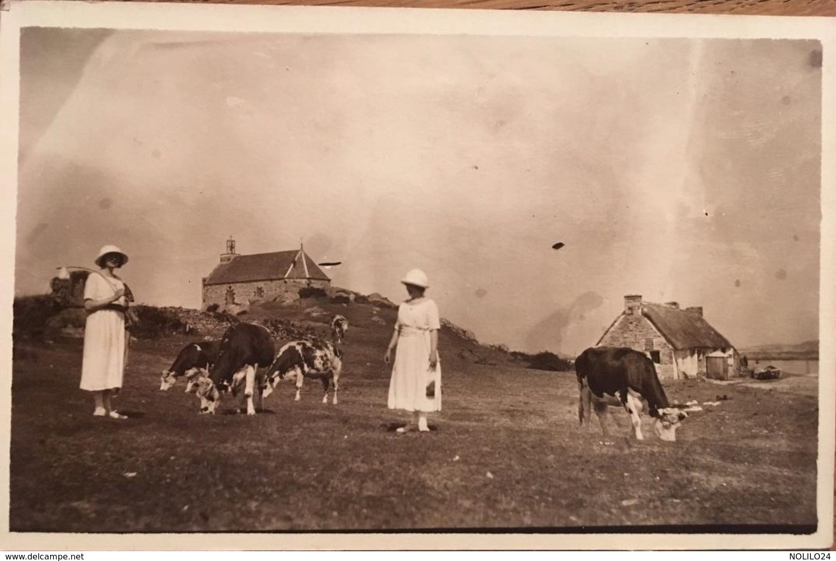 4 CPA Photos, îles Chausey, Manche (50)  2 Animées, Dames, Vaches (prise Par Amie Des 2 Dames?), Blainvillais 1930/1940 - Granville