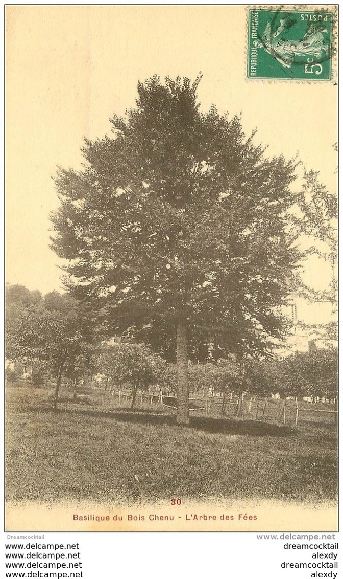 88 BASILIQUE DU BOIS CHENU. Arbre Des Fées 1914 - Otros & Sin Clasificación