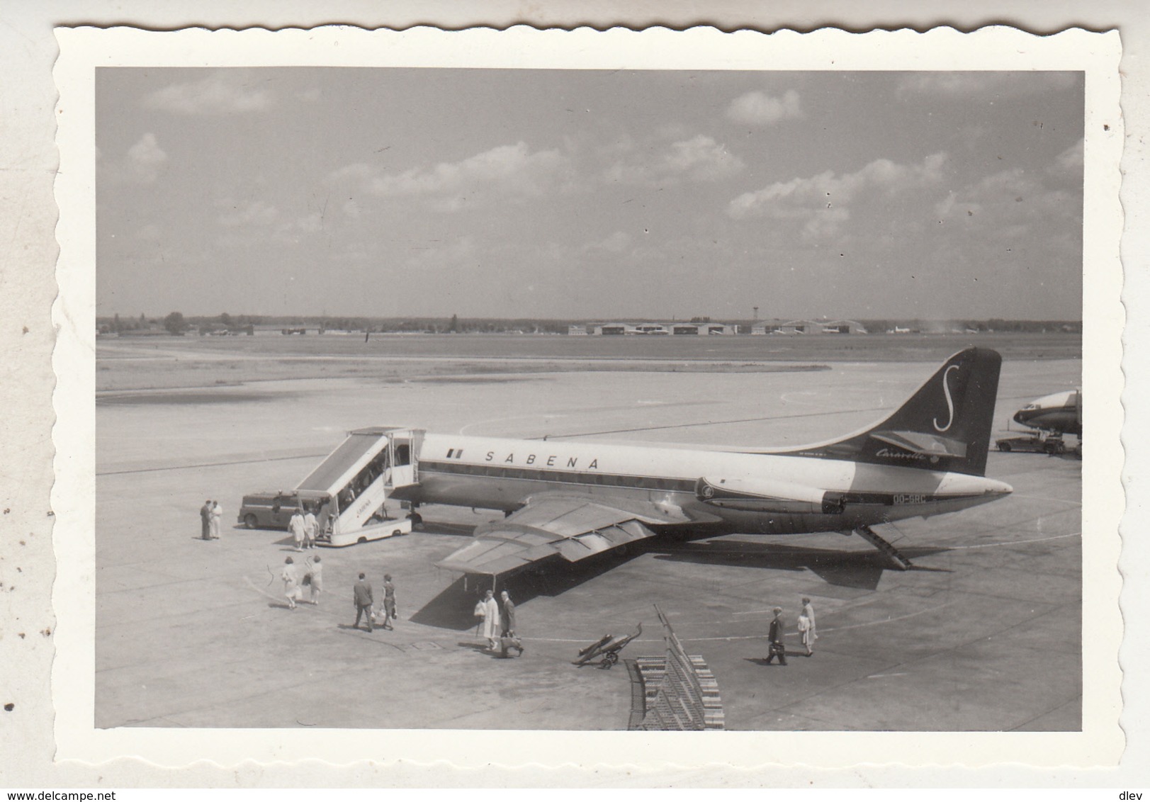 Avion Sabena - Vliegtuig - Photo 7 X 10.5 Cm - Aviation