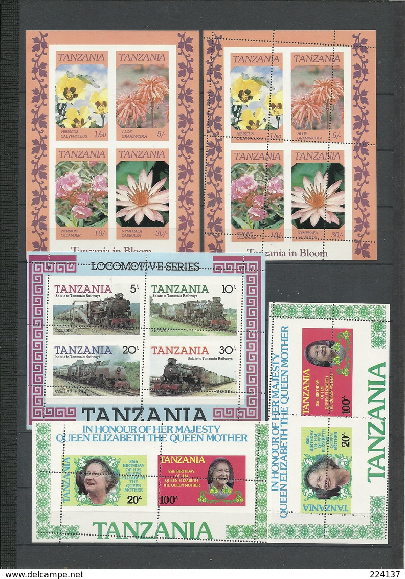 LOT TANZANIE BLOCS AVEC VARIETES NEUFS - Collections (sans Albums)