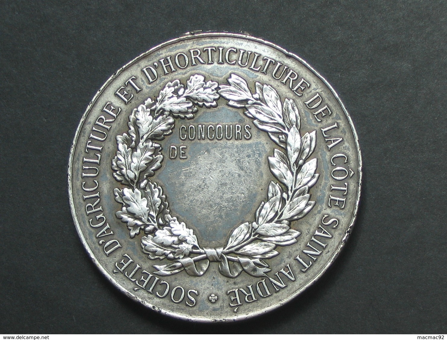 Médaille En Argent (?) - Société D'agriculture Et D'horticulture De La Côte Saint André    **** EN ACHAT IMMEDIAT **** - Professionnels / De Société