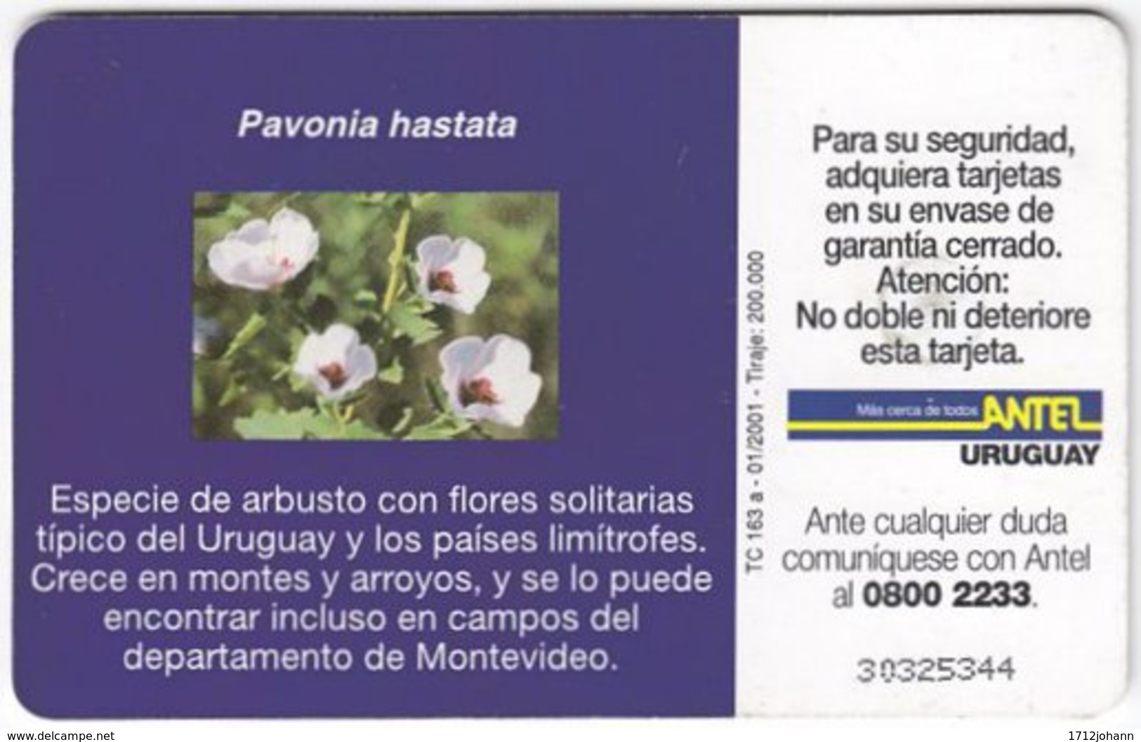 URUGUAY A-373 Chip Antel - Plant, Flower - Used - Uruguay