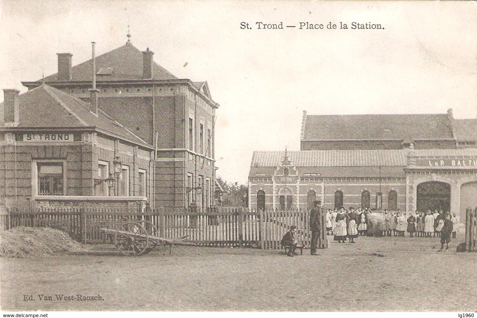 SINT-TRUIDEN - Place De La Station - Baltus En Geanimeerd - 1910 - Sint-Truiden