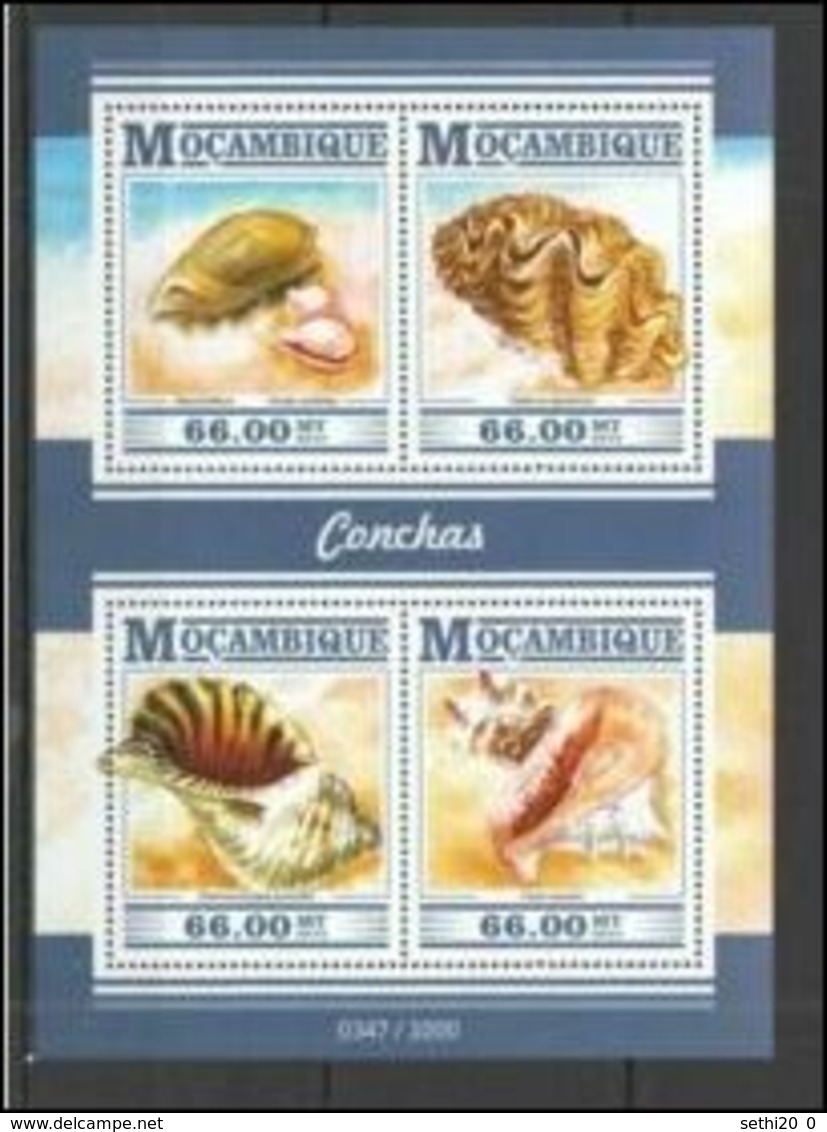 Mozambique 2015  Shells Coquillages MNH - Muscheln