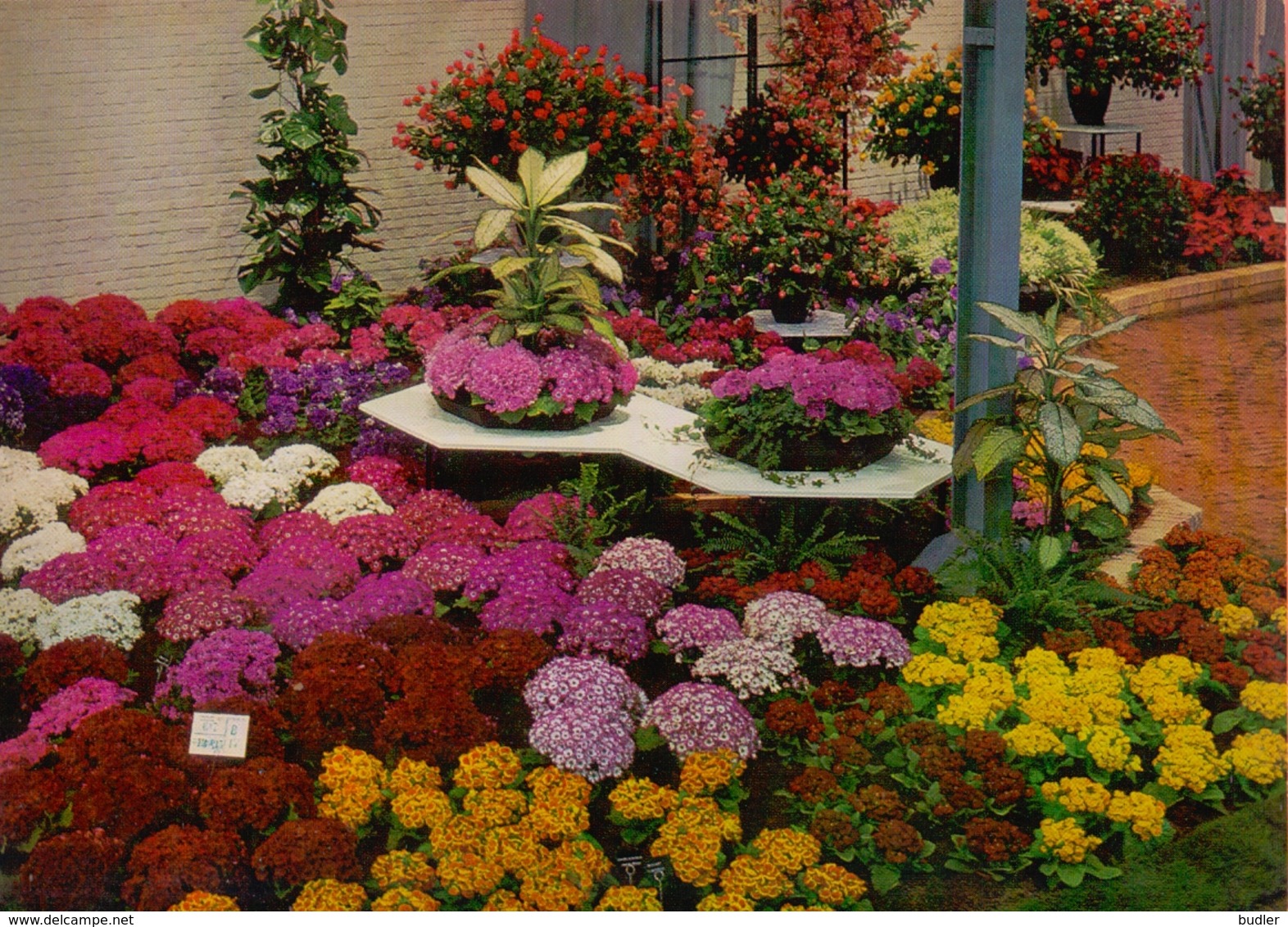 De Gentse Floraliën van 1970 / Les Floralies Gantoises de 1970.