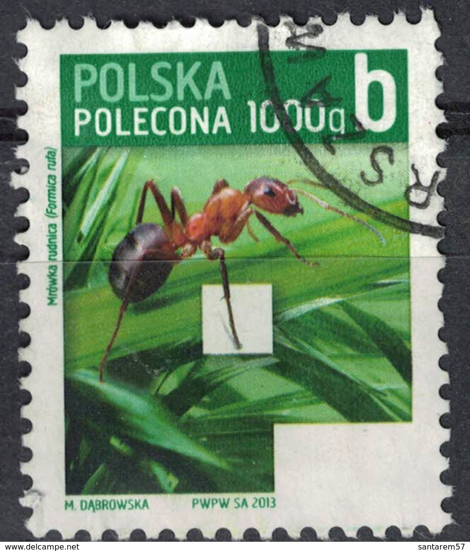 Pologne 2013 Oblitéré Used Formica Rufa Fourmi Rousse Des Bois SU - Oblitérés