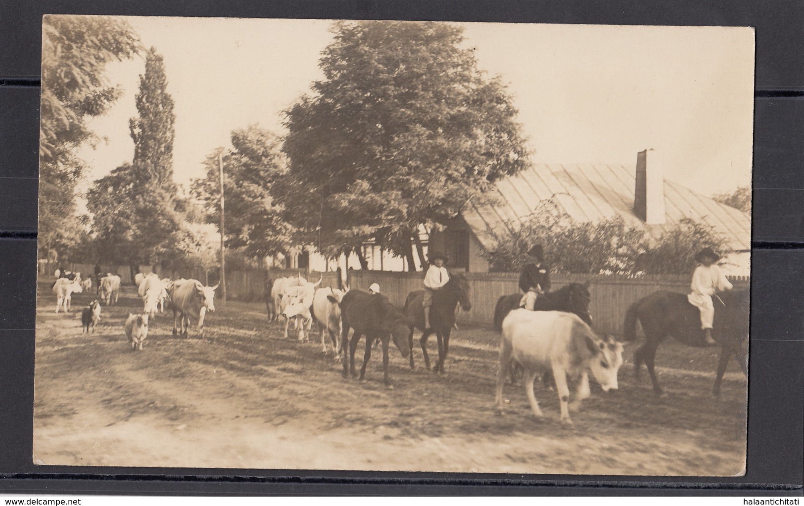 Romania / Roumanie / Rumanien - Intoarcere De La Pascut - Photo Made In WW1 By German Soldiers - Romania