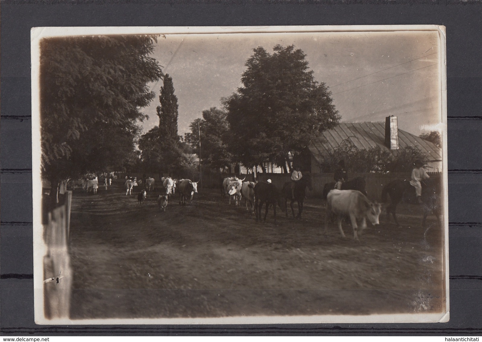 Romania / Roumanie / Rumanien - Intoarcere De La Pascut - Photo Made In WW1 By German Soldiers - Romania