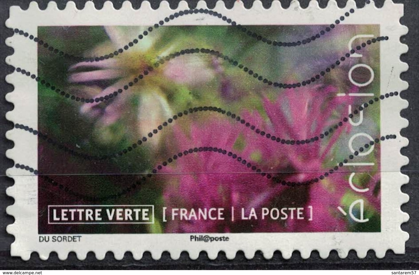 France 2019 Oblitéré Used Éclosion L'Osteospermum Marguerite Africaine - Gebraucht