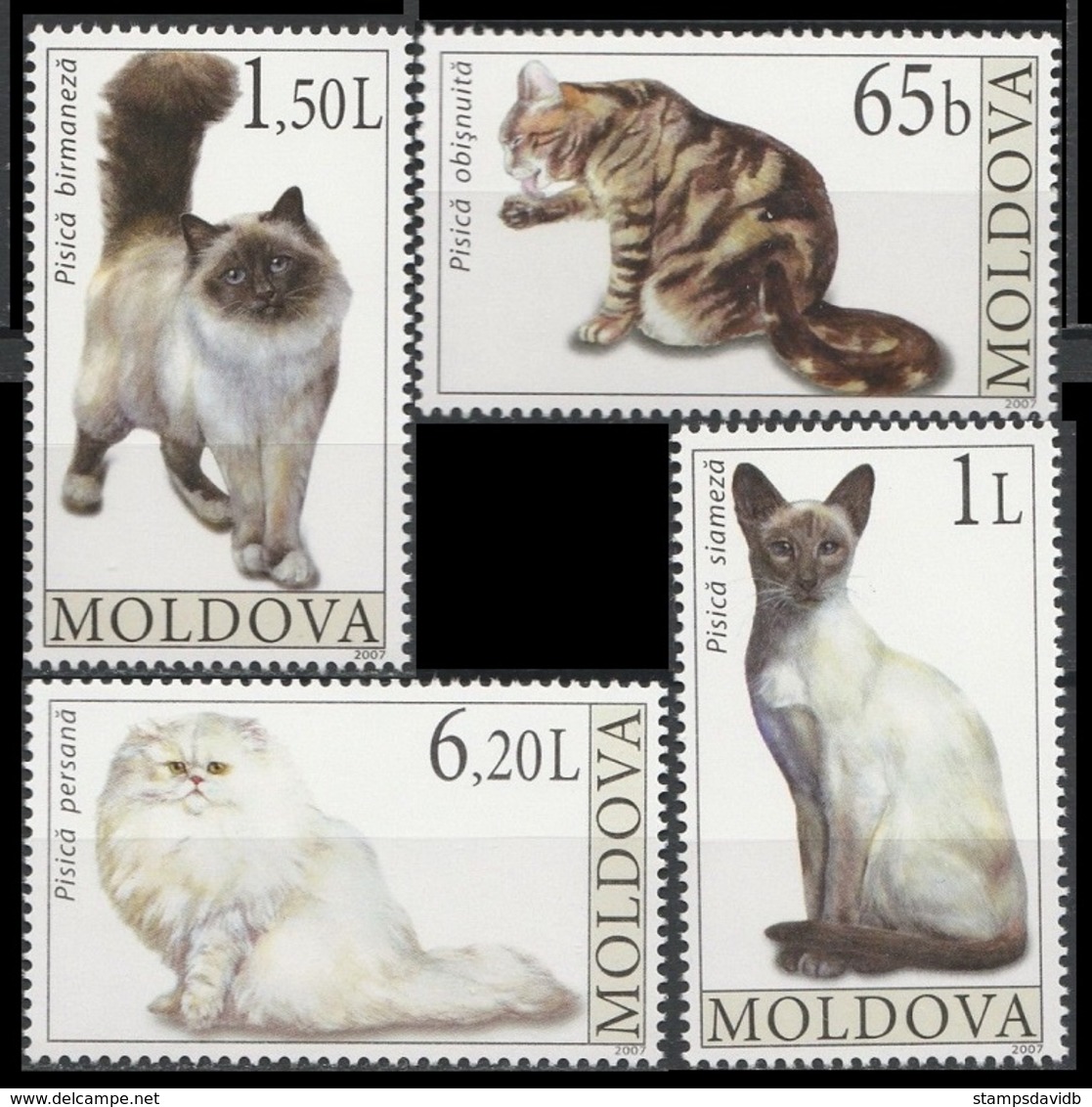 2007	Moldova	586-589	Cats	7,00 € - Hauskatzen