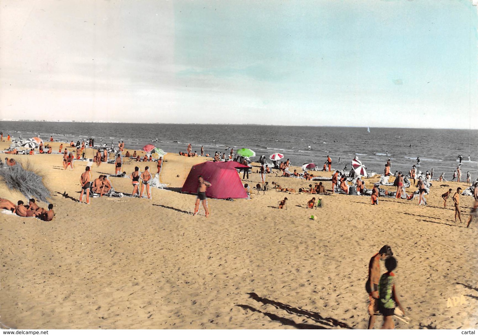 CPM - 34 - CARNON PLAGE - Camping International Du Grand Travers - Rte D. 59 - Vue De La Plage - Mauguio