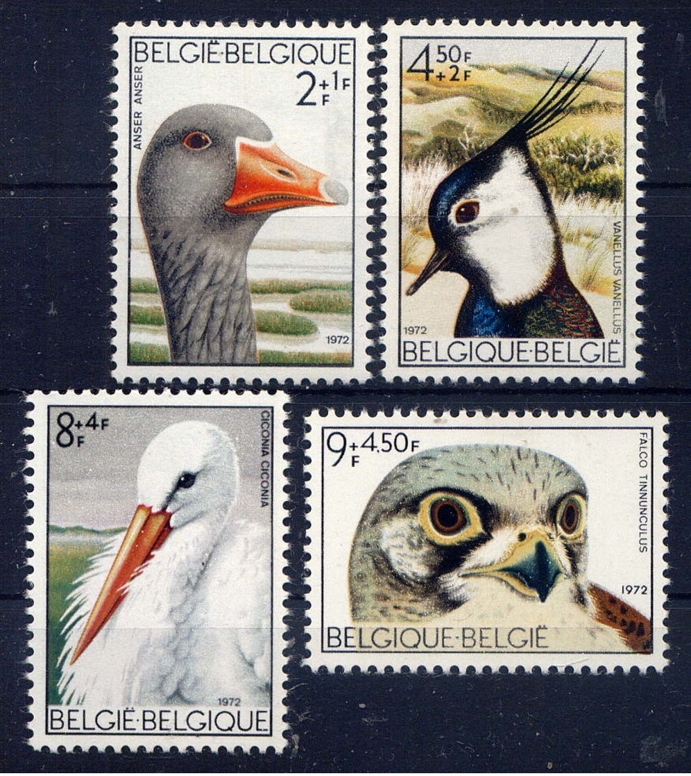 BELGIQUE - 1644/1647**  - OISEAUX - Neufs