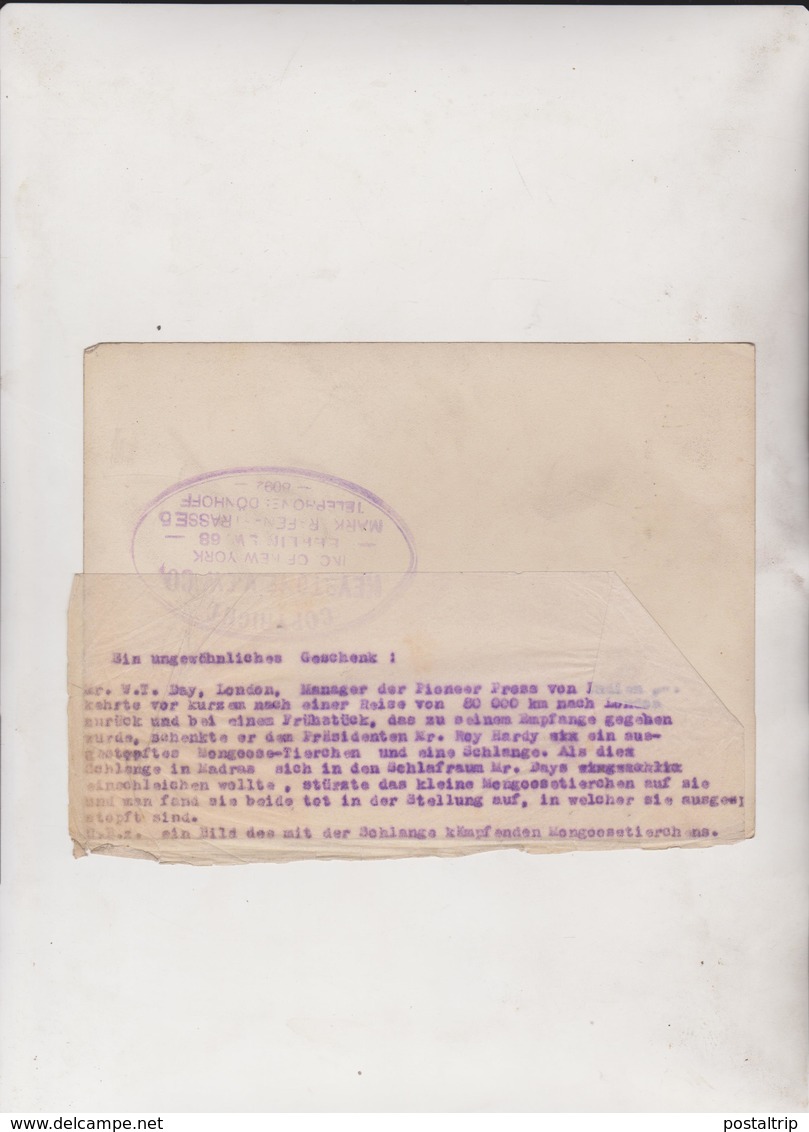 NR WT DAY LONDON INDIAN MONGOOSE TIERCHEN SCHLANGE  ANIMAUX ANIMALS ANIMALES 18*13CM Fonds Victor FORBIN 1864-1947 - Otros & Sin Clasificación