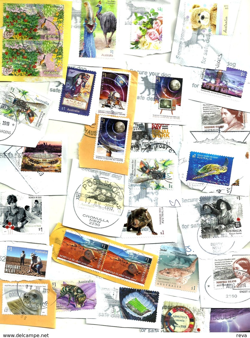 AUSTRALIA LOT4 MIXTURE OF50+USED STAMPS SOME 2015/19 INC.NEW"GARDENS"$1,,"BIRDS"$1,ETC READ DESCRIPTION!! - Blokken & Velletjes