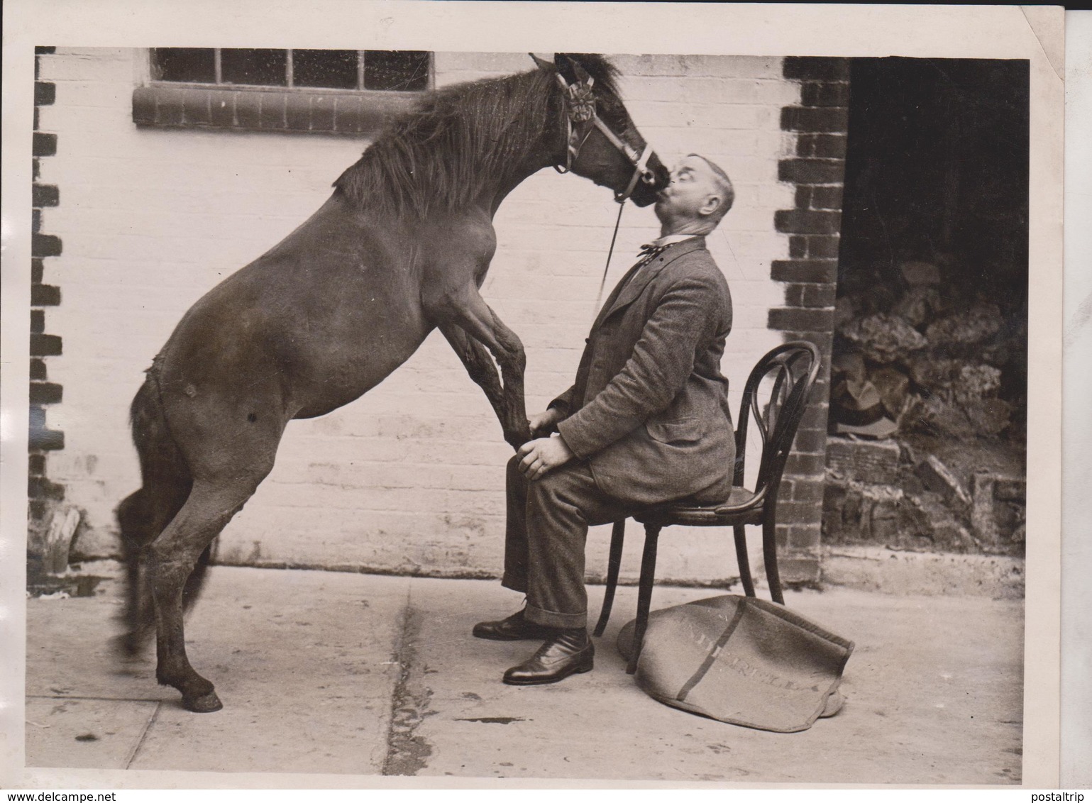 EFFECTIONATE PONY CIRCUS ZIRKIS CIRCO CIRQUE  ANIMAUX ANIMALS ANIMALES 20*15CM Fonds Victor FORBIN 1864-1947 - Otros & Sin Clasificación