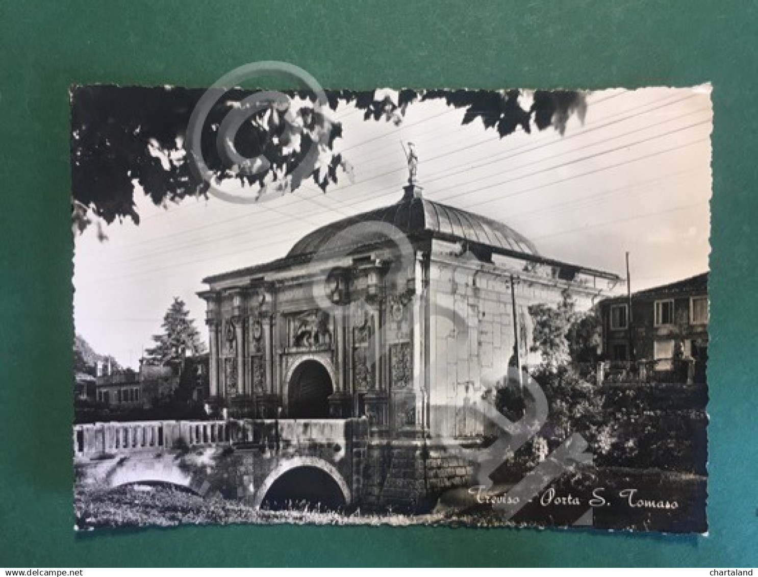 Cartolina Treviso - Porta S. Tommaso - 1960 Ca - Treviso