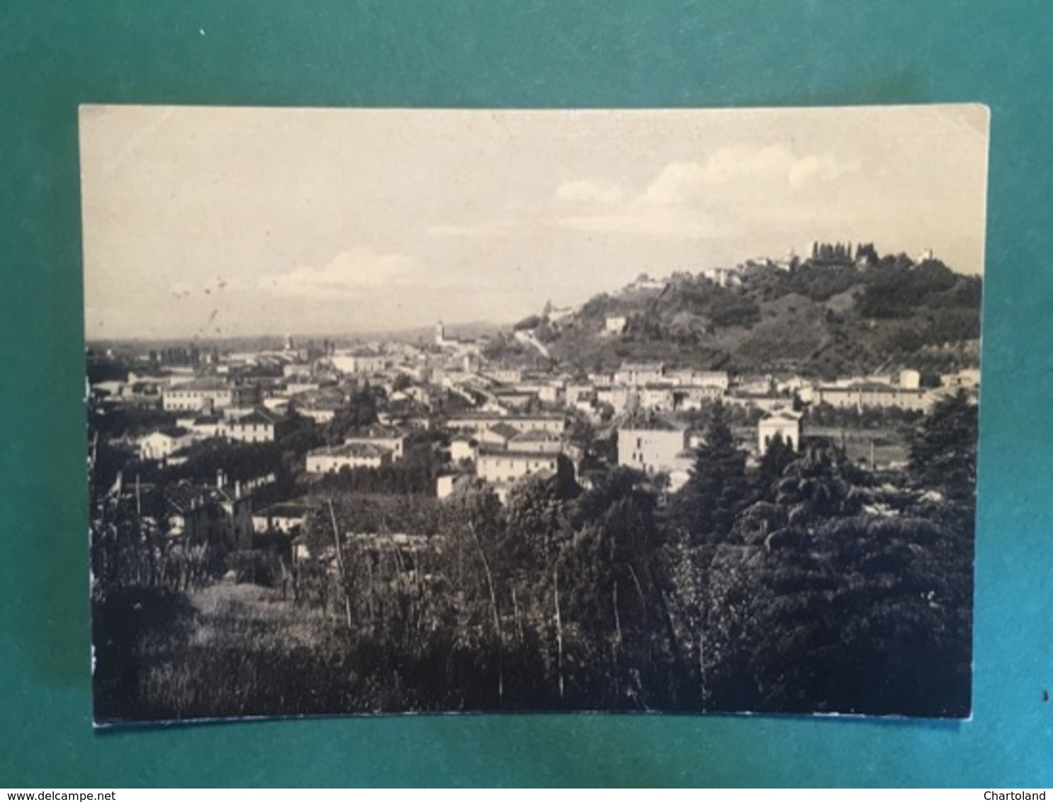 Cartolina Conegliano - Panorama - 1955 - Treviso