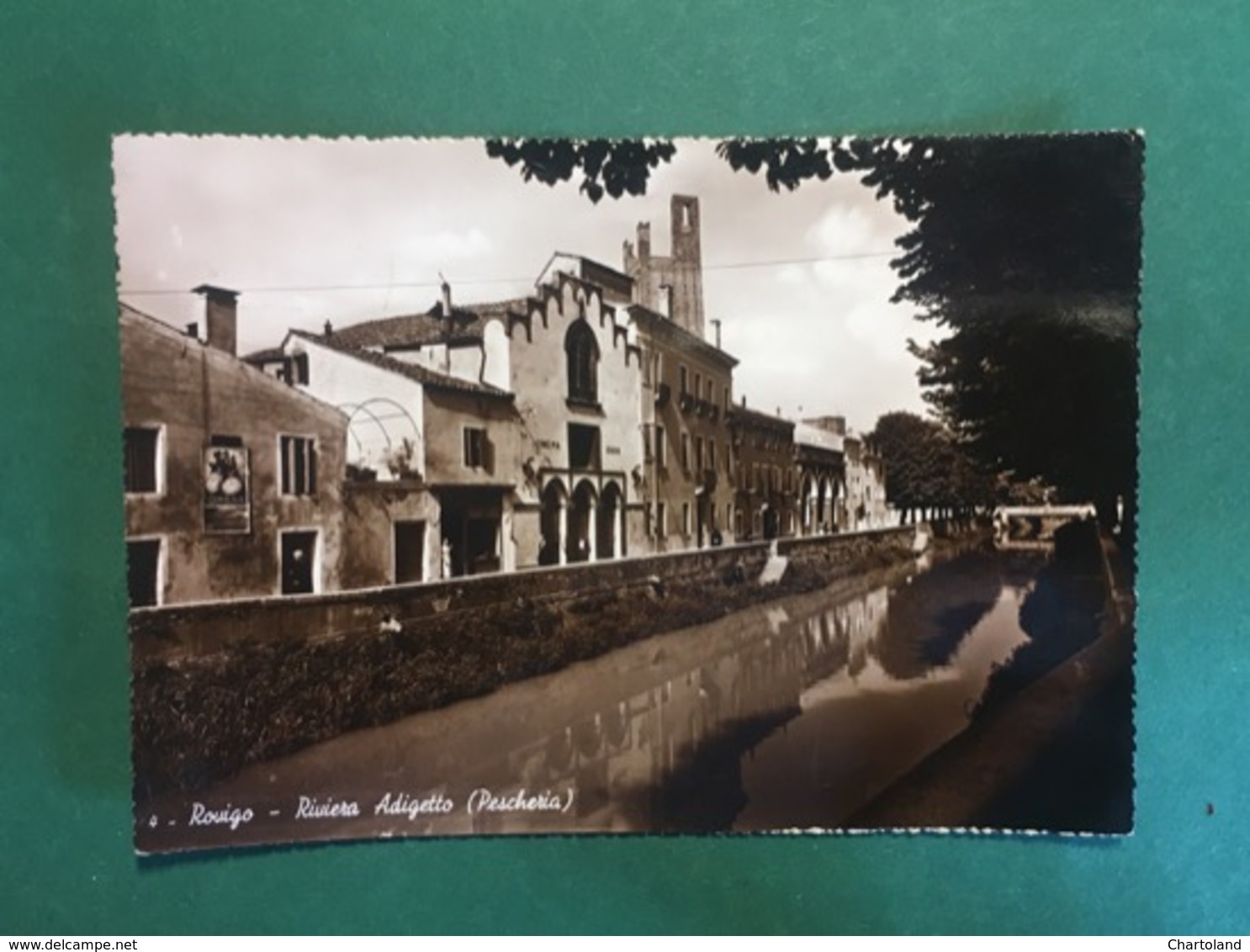 Cartolina Rovigo - Riviera Adriatica - Riviera Adriatica - Peschiera - 1951 - Rovigo