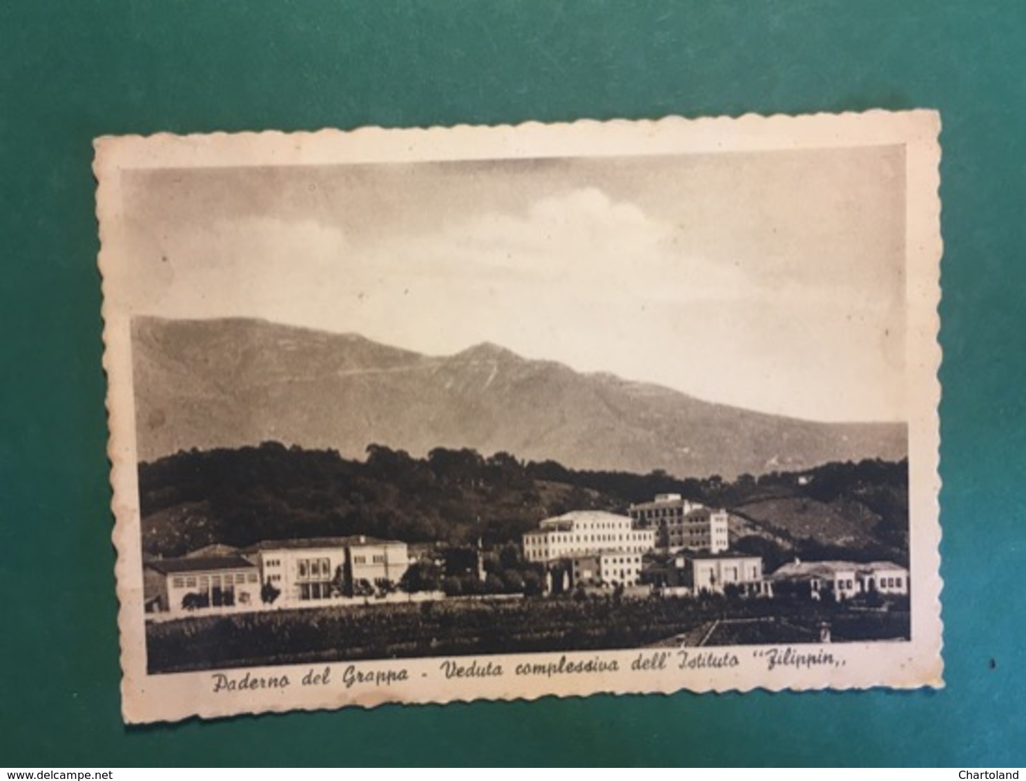 Cartolina Paderno Del Grappa - Veduta Complessiva Dell'Istituto Filippin - 1954 - Belluno