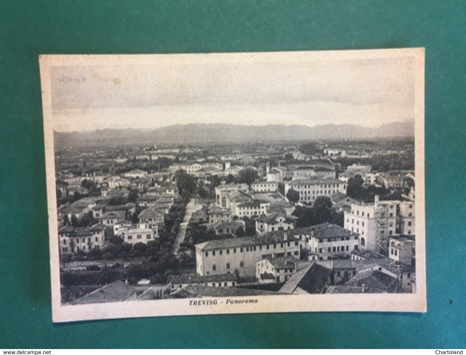 Cartolina Treviso - Panorama - 1951 - Treviso