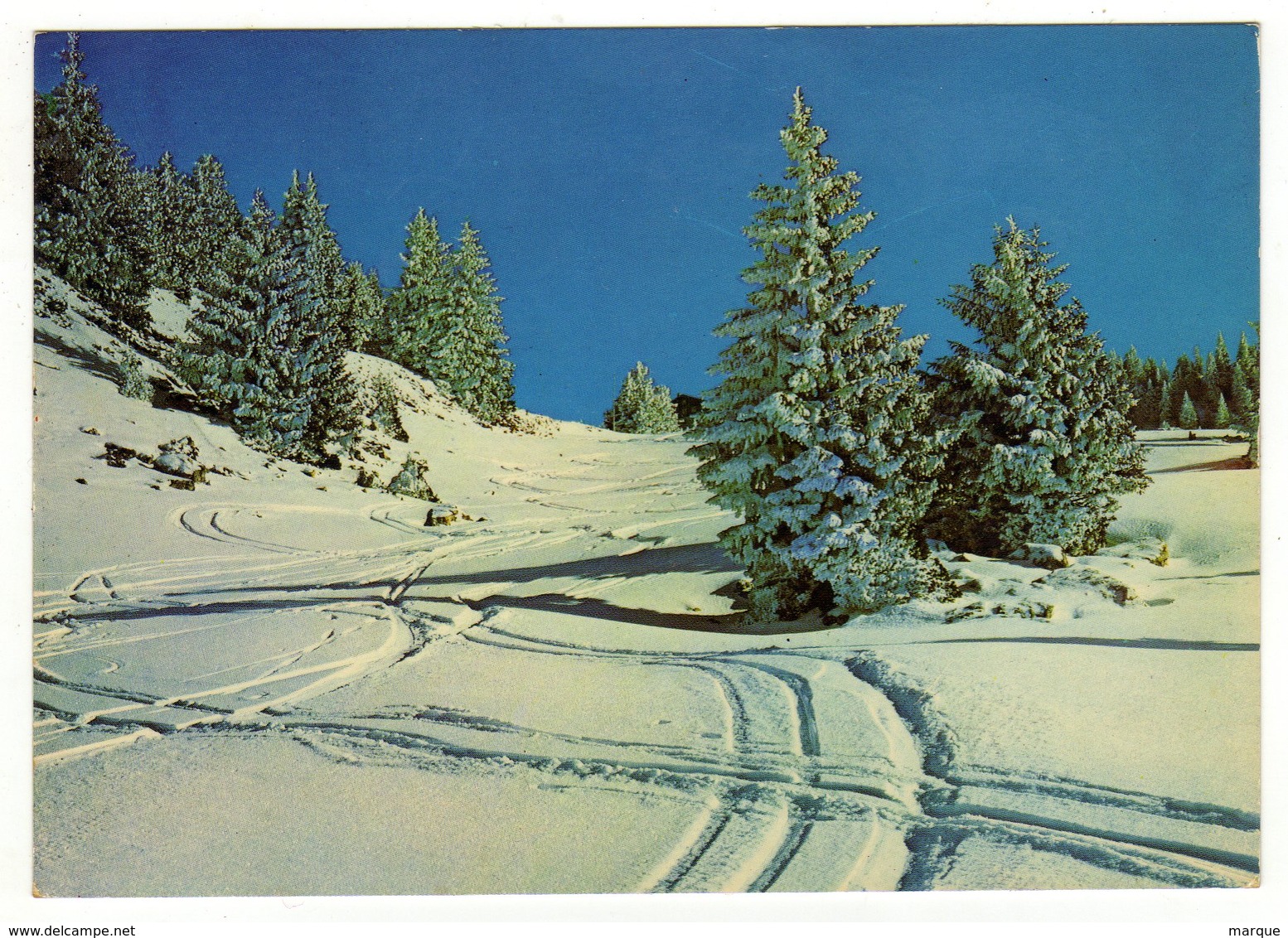 Cpm N° F.30756 Féérie Hivernale - Rhône-Alpes