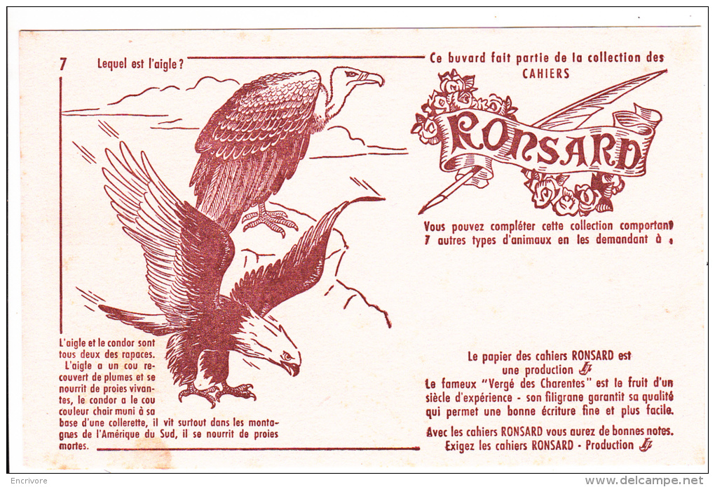 Buvard Cahiers RONSARD Animaux 7 Lequel Est L'aigle ? Condor Vautour - Papeterie