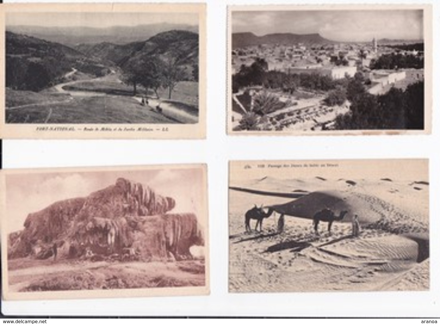 Algérie - Lot De 100 Cartes - 100 - 499 Postales