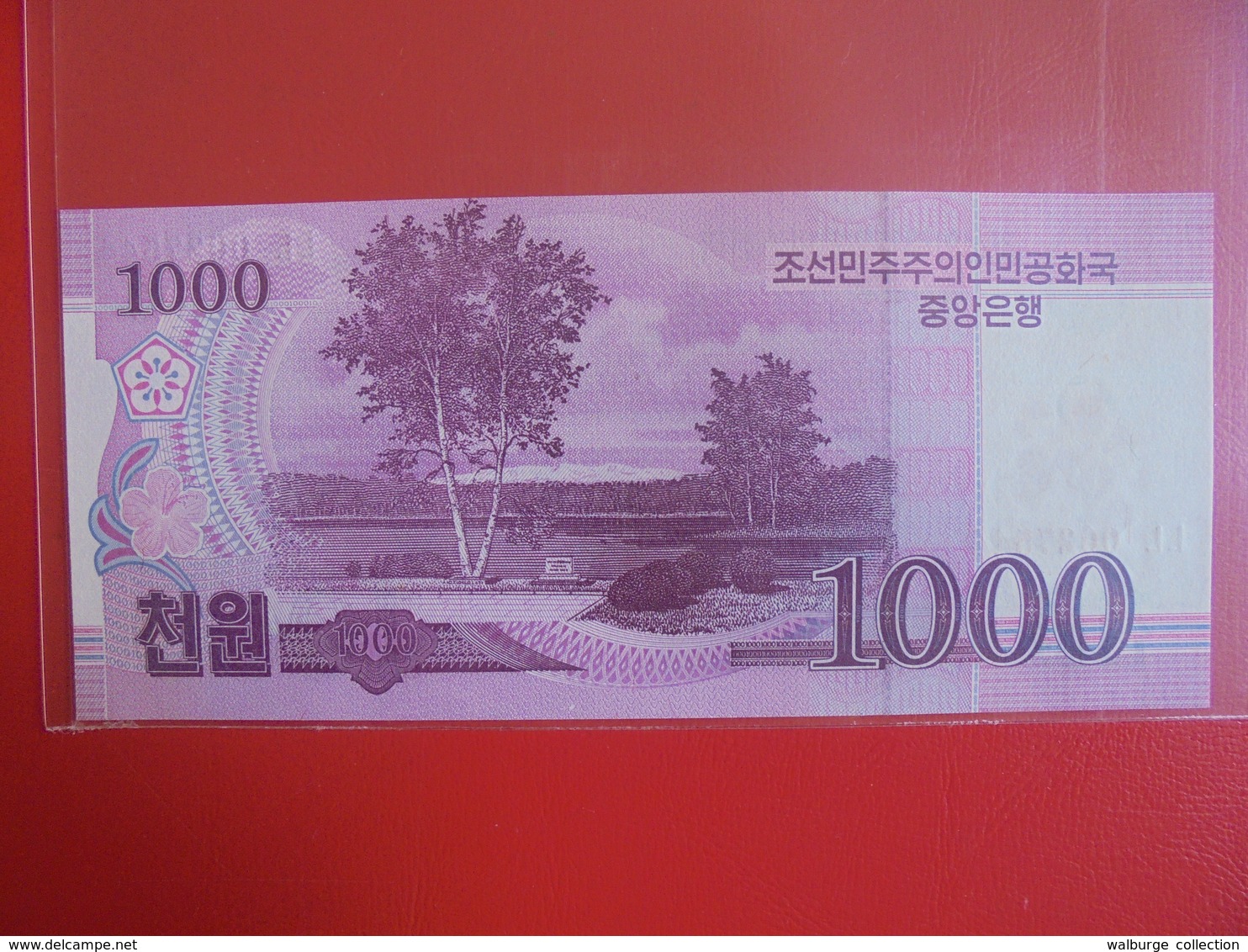 COREE(NORD) 1000 WON 2008 PEU CIRCULER/NEUF - Korea, North