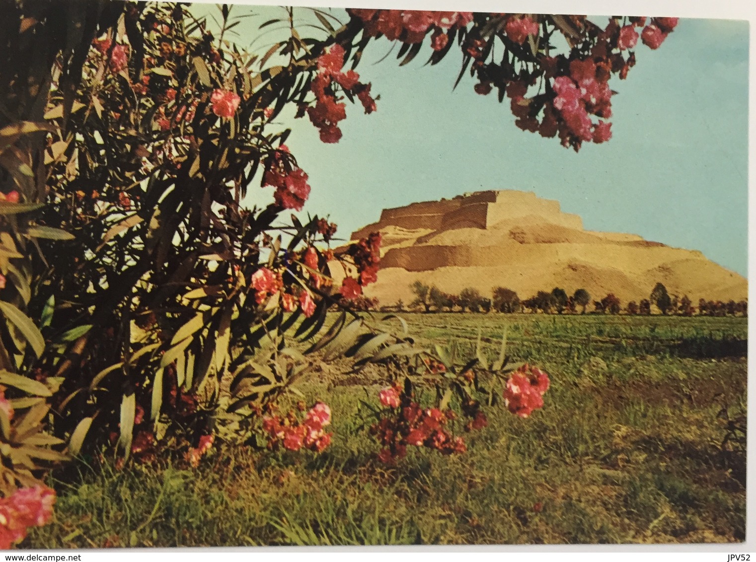 (651) Peru - Paramonga - The Ruins - 114 Miles North Of Lima. - Pérou