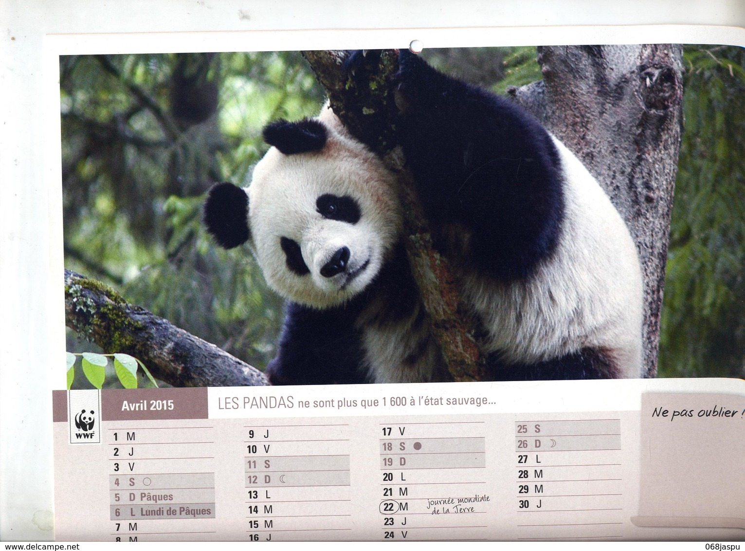 Calendrier 2015 WWF Panda Elephant Etc + Lettre + Etiquette - Grand Format : 2001-...