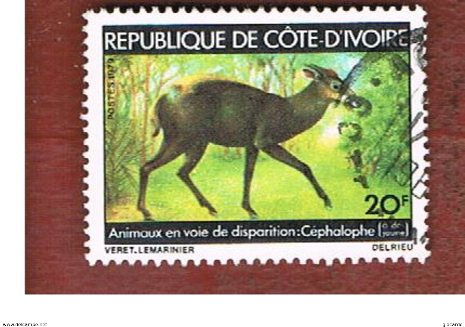 COSTA D'AVORIO (IVORY COAST) - SG 575   -   1979 ENDANGERED ANIMALS: DUIKER -  USED ° - Costa D'Avorio (1960-...)