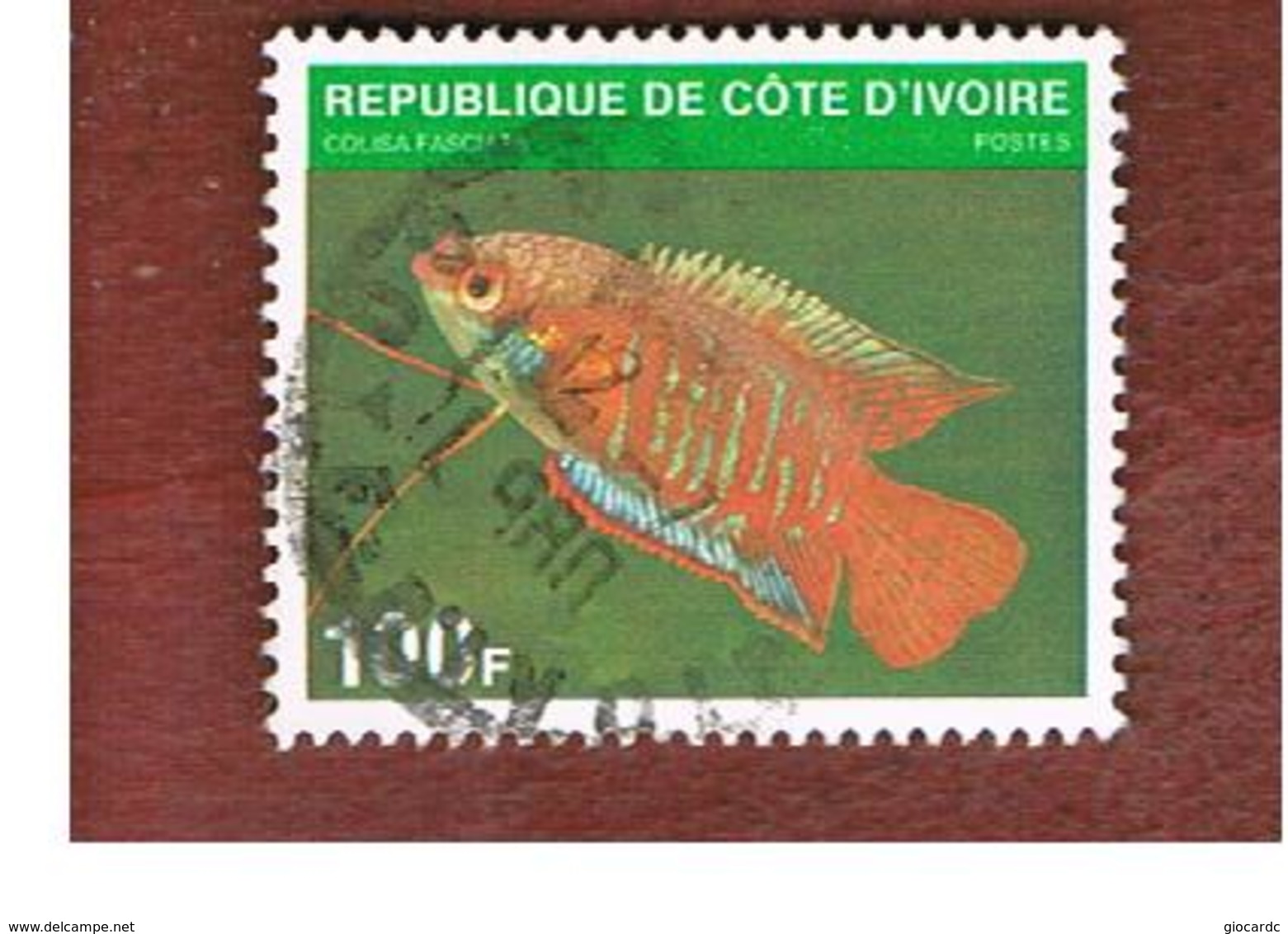 COSTA D'AVORIO (IVORY COAST) - SG 631  -   1980  FISHES: COLISA FASCIATA -  USED ° - Costa D'Avorio (1960-...)