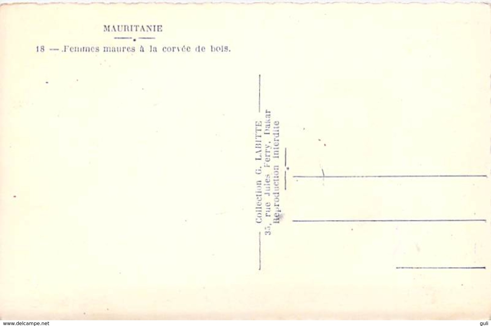 Afrique- MAURITANIE  (Mauritania) Femmes Maures à La Corvée De Bois (- Editions Collection G-Labitte N°18)*PRIX FIXE - Mauritania