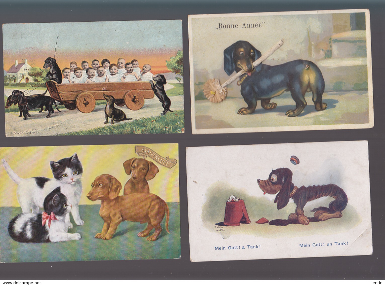 Chiens / Lot De 4 CP / Teckel / Illustrateur / Dont  Th.baver Wien, Dudley, Humoristiques ! - Hunde