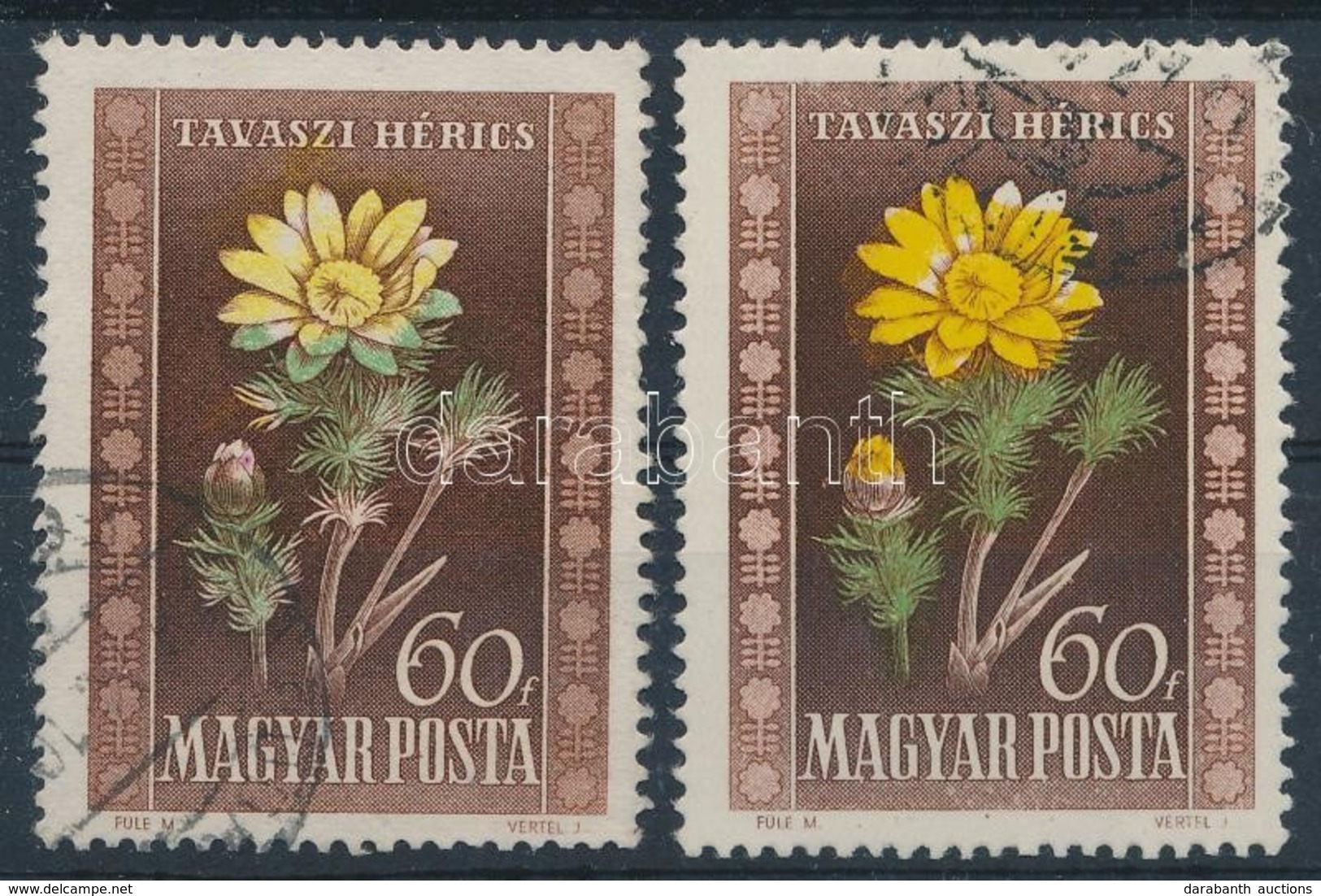 O 1950 Virág 60f 2 Db Bélyeg Eltolódott Színnyomatokkal - Sonstige & Ohne Zuordnung