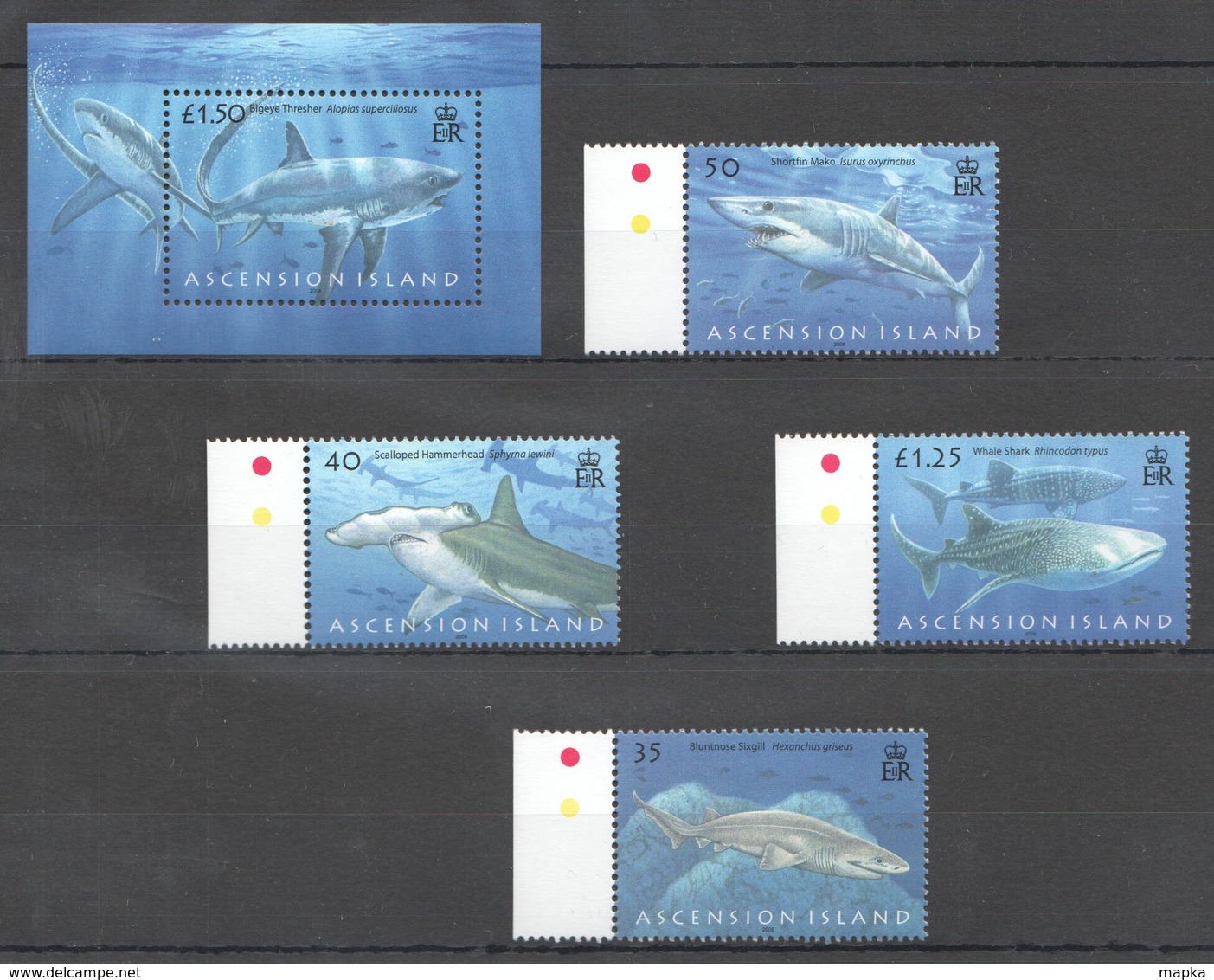 M1148 2008 ASCENSION ISLAND FISH & MARINE LIFE SHARKS #1033-6 1BL+1SET !!! MICHEL 16 EURO !!! MNH - Meereswelt