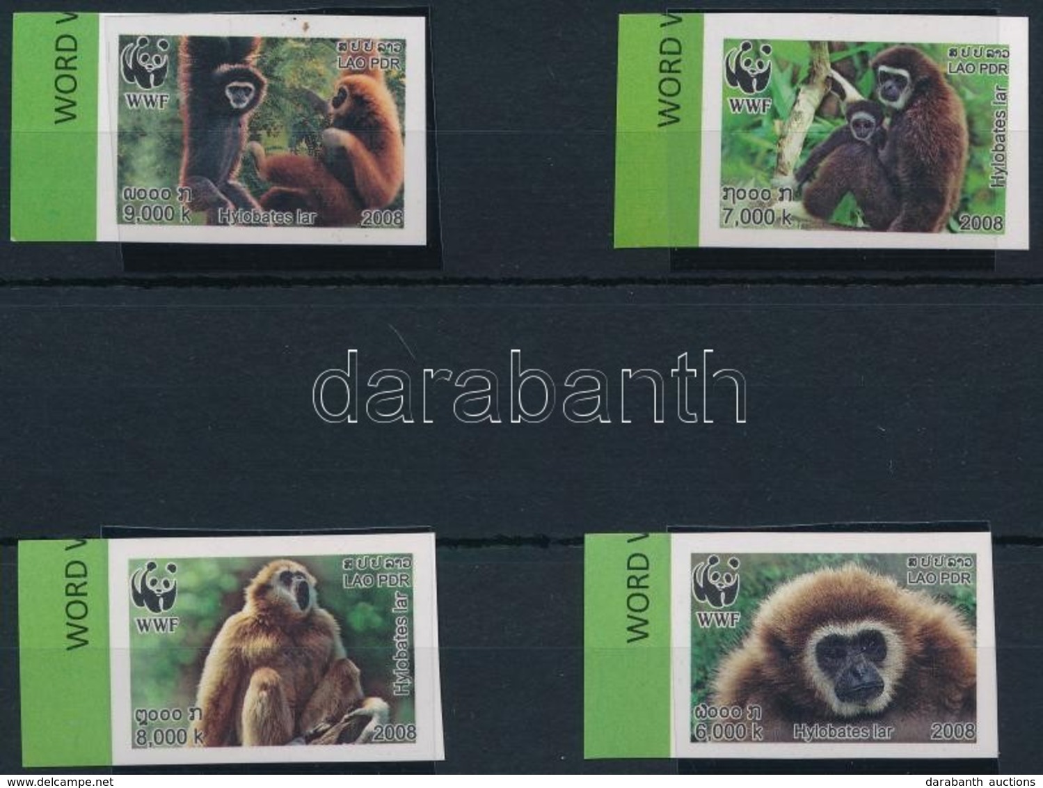 ** 2008 WWF: Majmok ívszéli Sor Mi 2062-2065 B - Autres & Non Classés