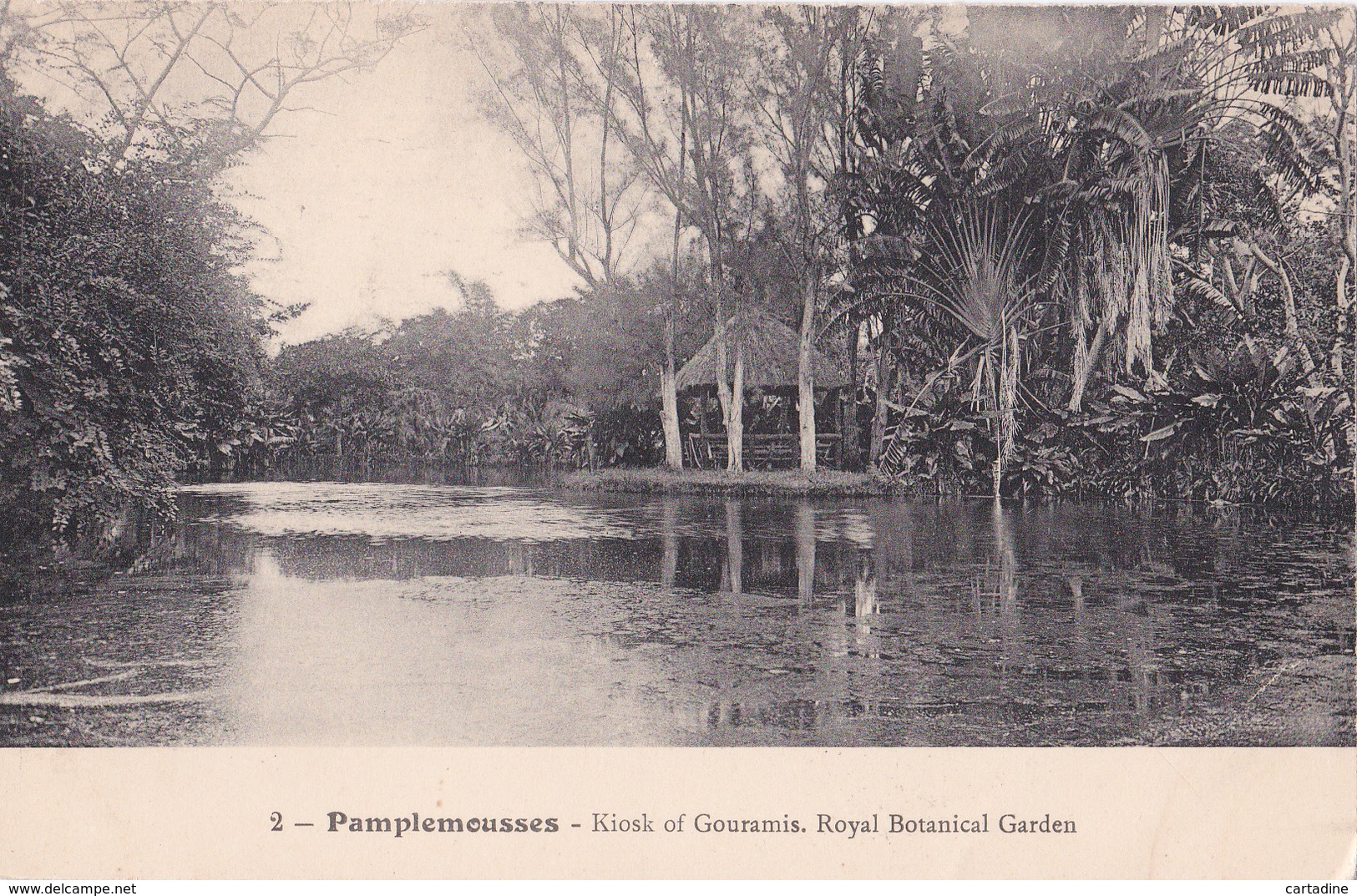 CPA - Maurice - Pamplemousses - Kiosk Of Gouramis - Royal Botanical Garden  - N° 2 - Mauritius