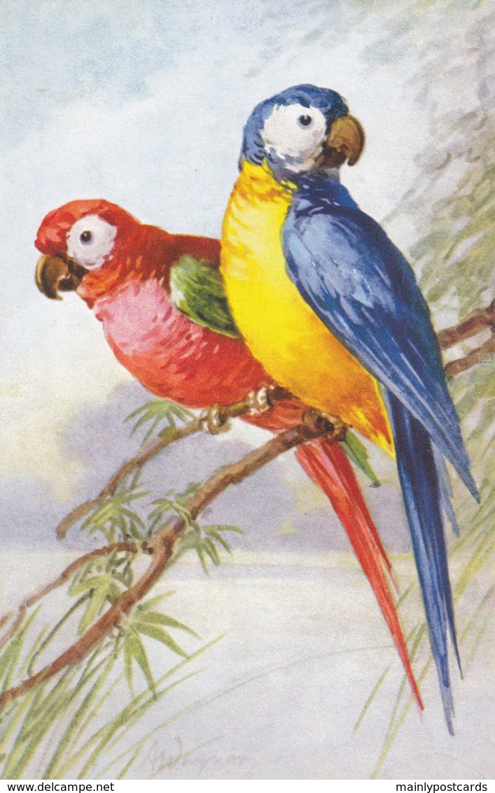 AS77 Animals - Birds - 2 Parrots By Wagner - Birds