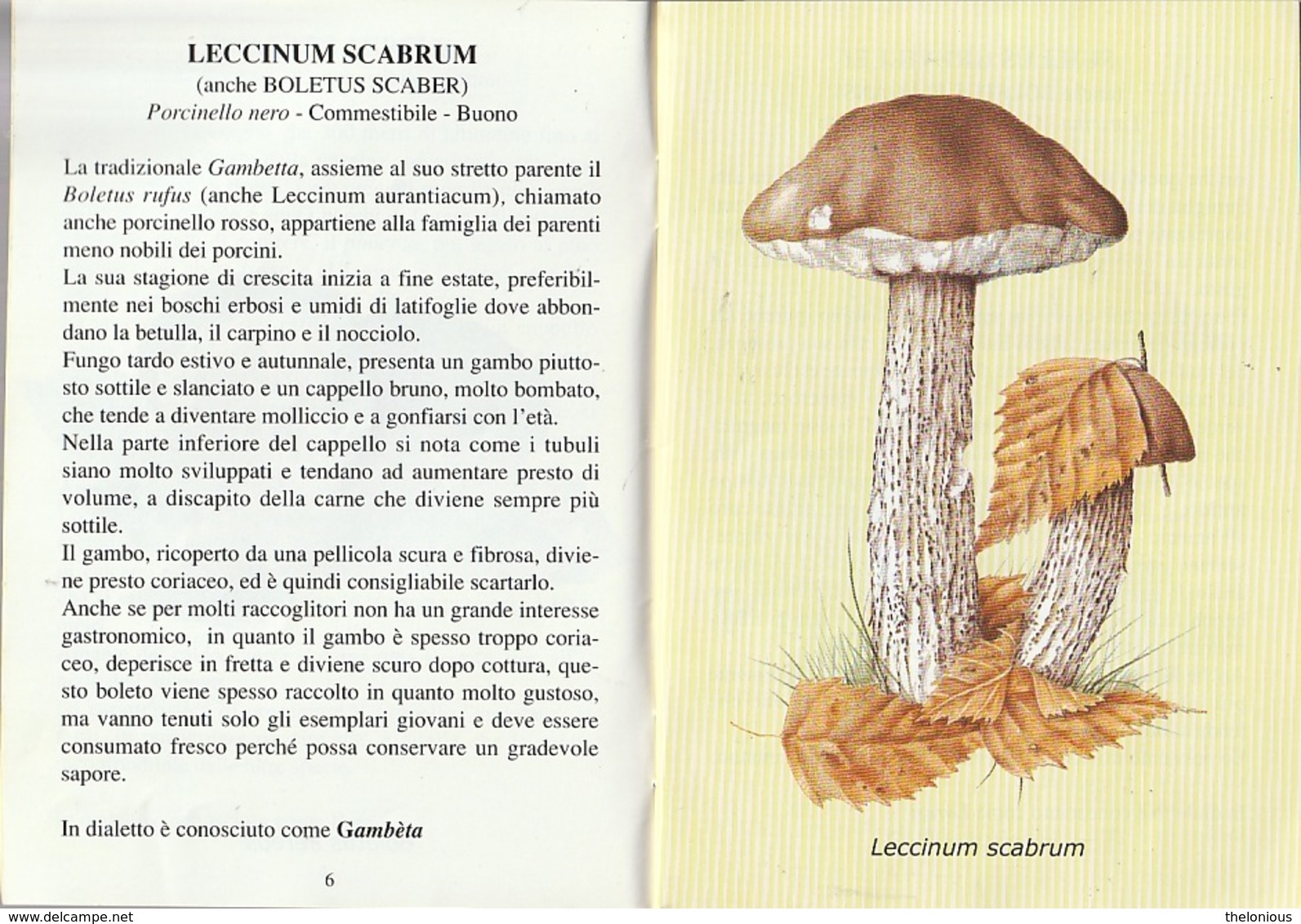 # I Funghi In Valle Brembana - Libricino Edito Dalla Comunità Valle Brembana - Natur