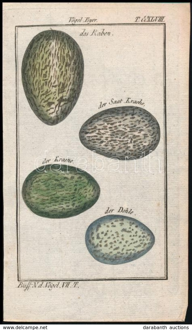 Cca 1780-1790 Holló Tojások, Színezett  Rézmetszet, Papír, In: Buffon, Georges Louis Le Clerc De: Naturgeschichte Der Vö - Prenten & Gravure