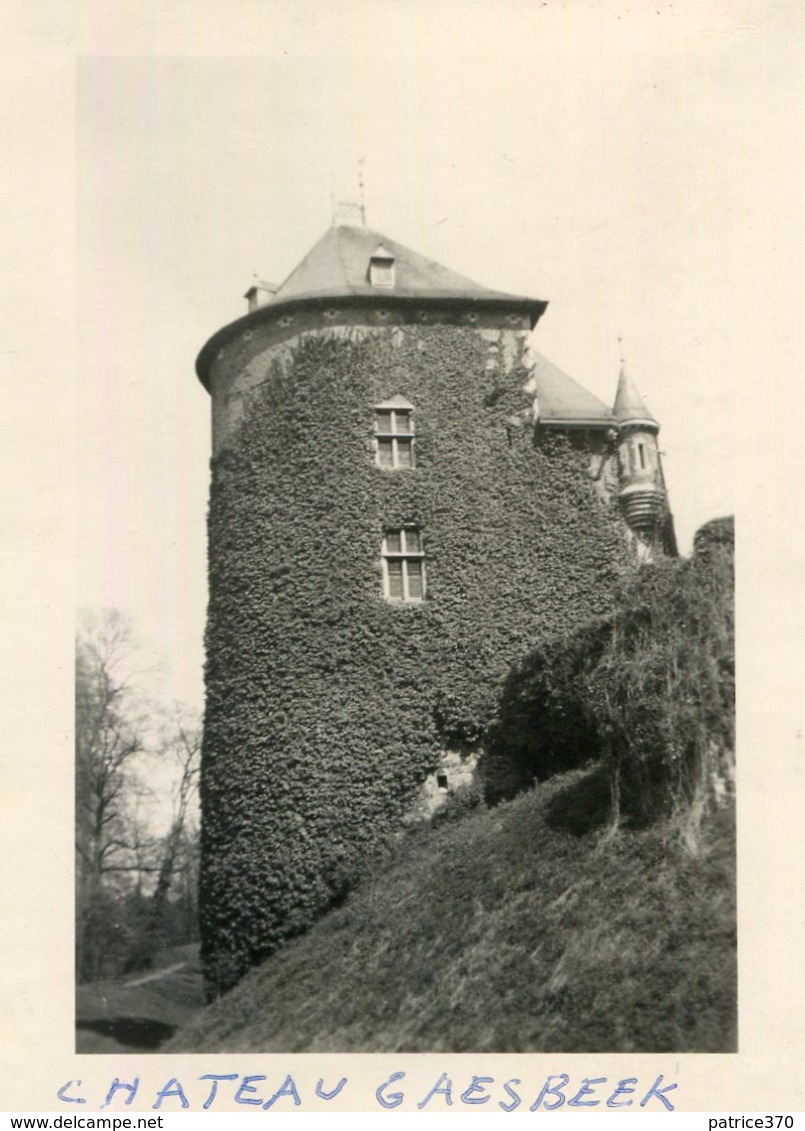 LOT De 4 PHotos Au Château De Gaesbeek Ou Gaasbeek à Lennik Belgique Années 1950 Visiteurs Cour Parc - Luoghi