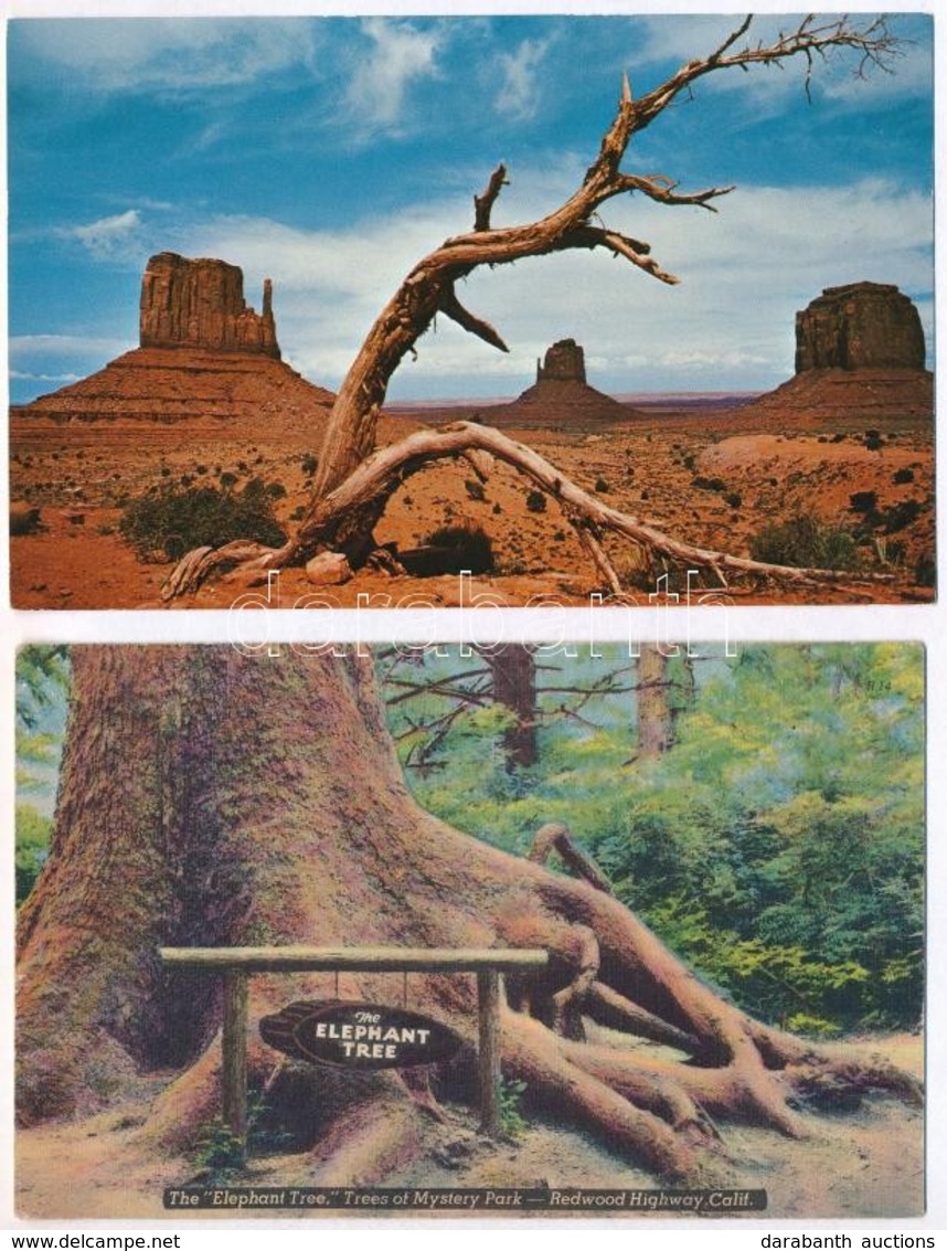 ** * 12 Db MODERN Amerikai Képeslap / 12 Modern America (USA) Postcards, Nature - Zonder Classificatie