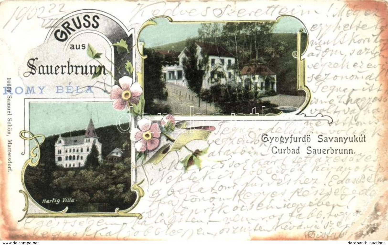 T3 1902 Savanyúkút, Bad Sauerbrunn; Fürdő, Hartig Villa / Spa, Villa. Floral, Art Nouveau (EB) - Zonder Classificatie