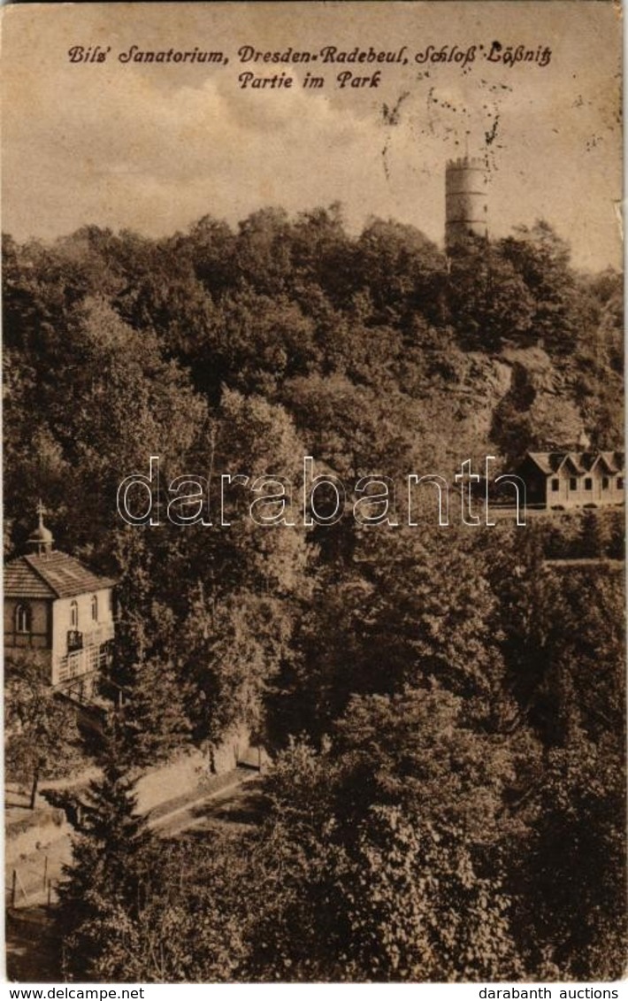 T2 Dresden-Radebeul, Bilz Sanatorium, Schloss Löstnitz, Partie Im Park / Sanatorium, Park - Zonder Classificatie