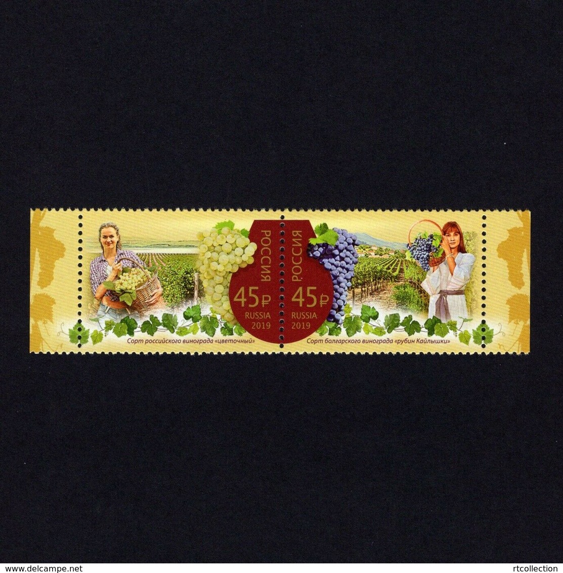 Russia 2019 - Set Joint Issue With Bulgaria Winemaking Food Drinks Fruits Grapes Plants Wine Production Stamps MNH - Fruits