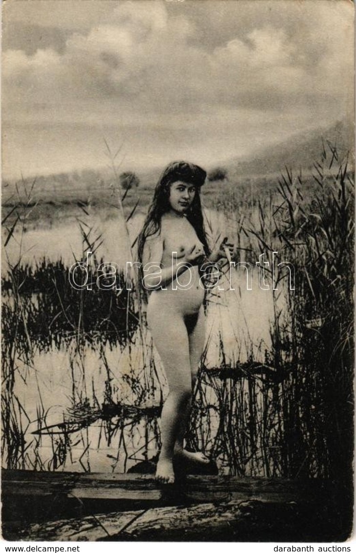 ** T3 Vintage Erotic Nude Lady. Künstler Akt-Studie (non PC) (wet Damage) - Zonder Classificatie