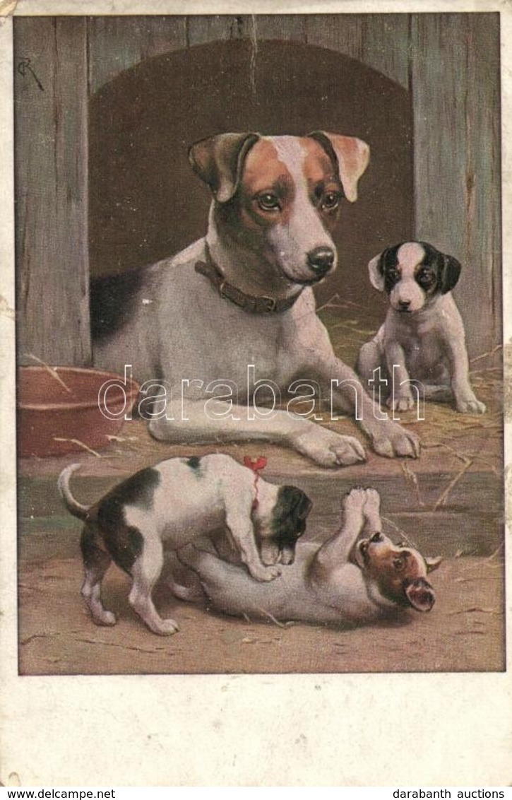 T3 Dogs, T.S.N. Serie 1544. S: Carl Reichert (fa) - Zonder Classificatie